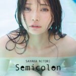 【オールアザー版】似鳥沙也加写真集 Semicolon