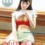栄川乃亜1st.写真集 noa