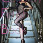 Cosplay Fetish Book 山岸あや花