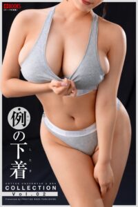 例の下着COLLECTION Vol.02----