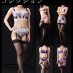 某下着メーカー ランジェリーモデルコレクション