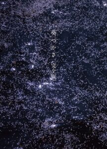 葵つかさ写真集 葵つかさ 完全版