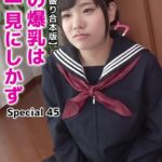 【メガ盛り合本版】妹の爆乳は一見にしかず Special 45ゆあ