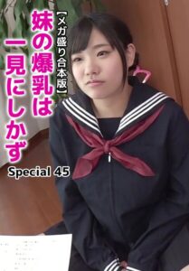 【メガ盛り合本版】妹の爆乳は一見にしかず Special 45ゆあ