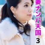 人妻ナンパ天国 3