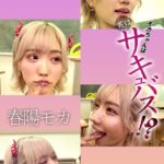 モカちゃんは実はサキュバス！？ Vol.01