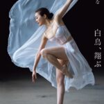 藤かんな写真集 白鳥、翔ぶ