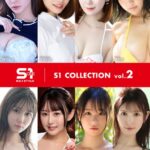 S1 COLLECTION vol.2