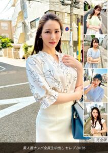 素人妻ナンパ全員生中出しセレブDX 95