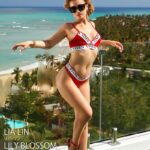 【FANZA限定版】 【VIXEN】SEXY AND BEAUTIFUL VOL.11 〜リゾート・ラヴァーズ〜 リア・リン リリー・ブロッサム 写真集