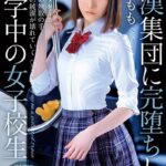 痴●集団に完堕ちした通学中の女子校生 Vol.1 / 白石もも