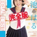 【完全版】SPECIAL BEST / 菊池はる菊池はる