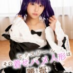 その着せハメ人形は腰を振る 南川花夢 編