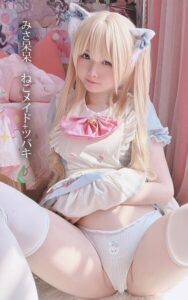 みさ呆呆 ねこメイド＋ツバキみさ呆呆