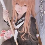 みさ呆呆 逢坂大河＋さくなみさ呆呆