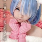 みさ呆呆 リゼ○ レム 羊フィギュア衣装みさ呆呆