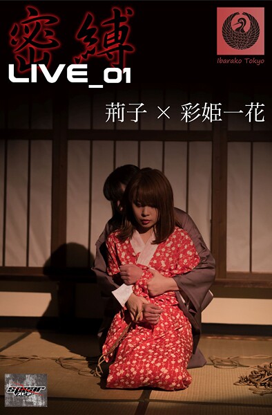 密縛live写真集01 荊子×彩姫一花----