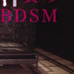 汁責めBDSM 南梨央奈