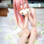 五分の一の花嫁